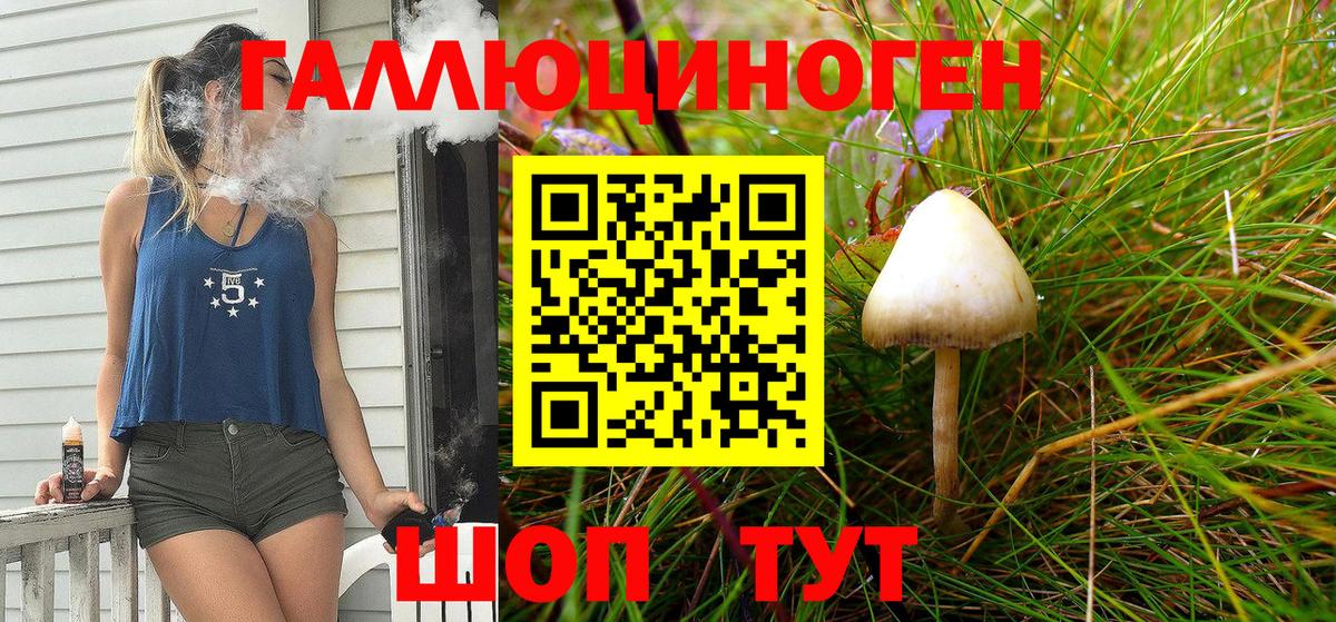 Псилоцибиновые грибы Cubensis  Вход с VPN  Каменск-Уральский 